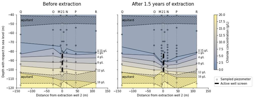 Development of the salinity distribution after 1.5 years of brackish groundwater extraction (at 30 – 50 m3/h). The isochlors are linearly interpolated between the sampled piezometers. Wells Q and R are not on the same line as the other wells but are plotted as reference on the left and right of the figures. 